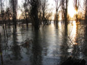 Rhein; Duisburg