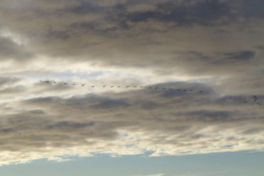 Fehmarnhimmel