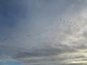 Fehmarnhimmel