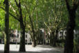 Heinrichplatz