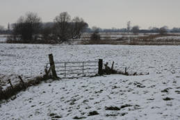 An der Schulauer Straße