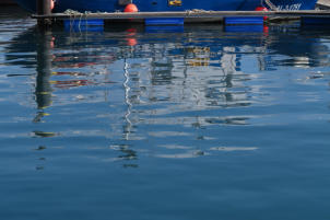 Hafen in Los Cristianos, Teneriffa