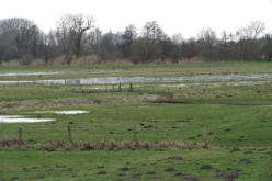 Blick auf den einstigen Standort der Hatzburg