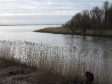 Wedel, Elbe am Ende des Hamburger Yachthafengeländes